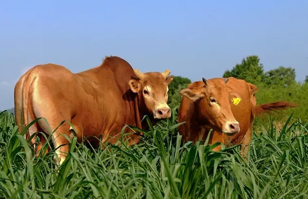 1664259144696469.png 截图20220927141207.png