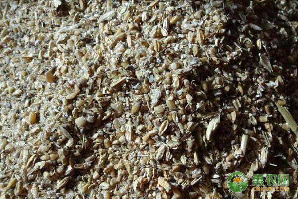 饲料如何贮存?霉变后有什么处理措施? 饲料如何贮存?霉变后有什么处理措施?