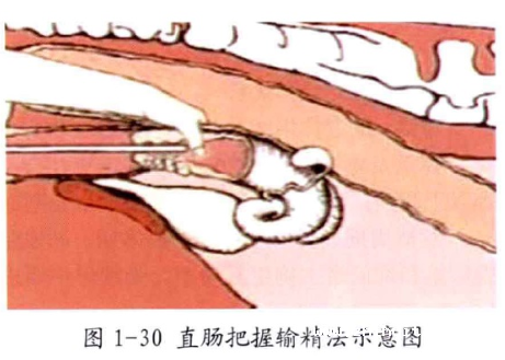 1665300778138665.png 952cde6b4d0752570b91f7ccba3d44fe_20141212104916_21497.png