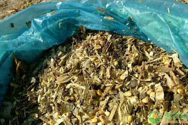 优质青贮饲料的制作要点 优质青贮饲料的制作要点