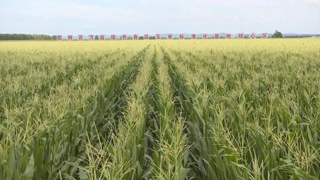 1670987224286075.jpg 微信图片_20221214105848.jpg