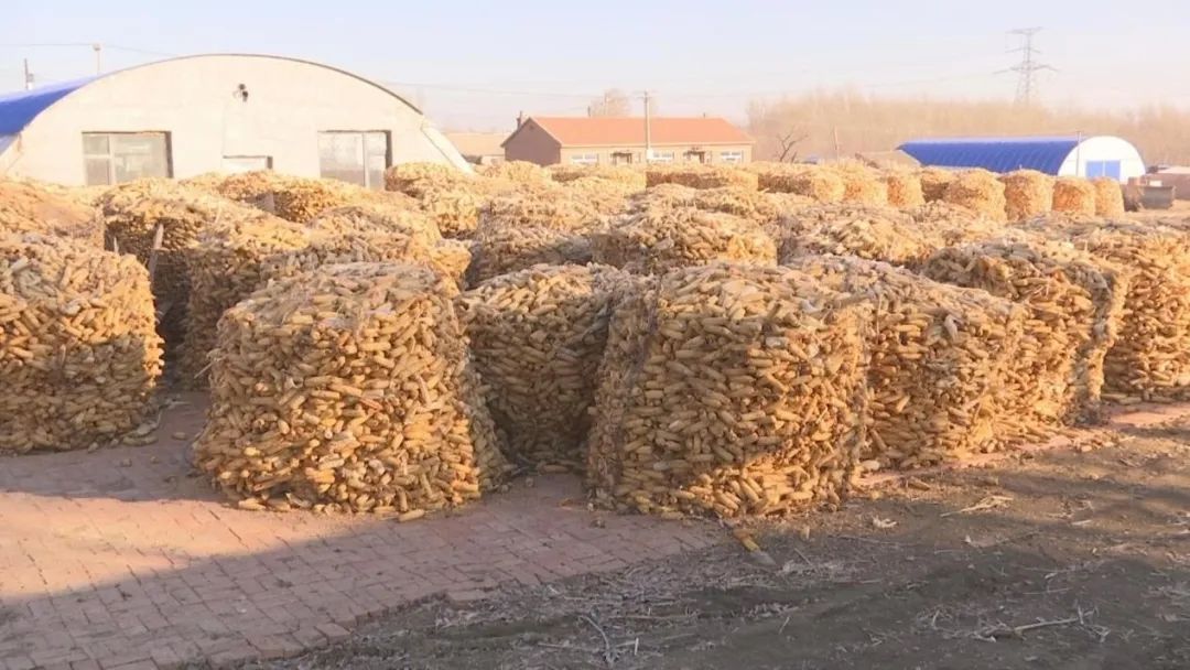 1670987233113797.jpg 微信图片_20221214105851.jpg