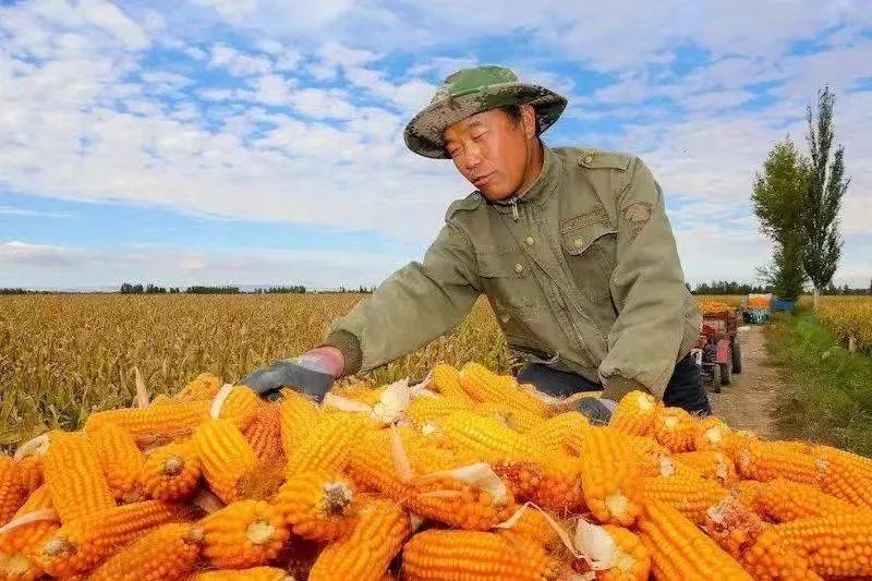 1670987257185639.jpg 微信图片_20221214105857.jpg