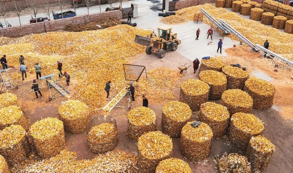 1670987297124796.jpg 微信图片_20221214105900.jpg