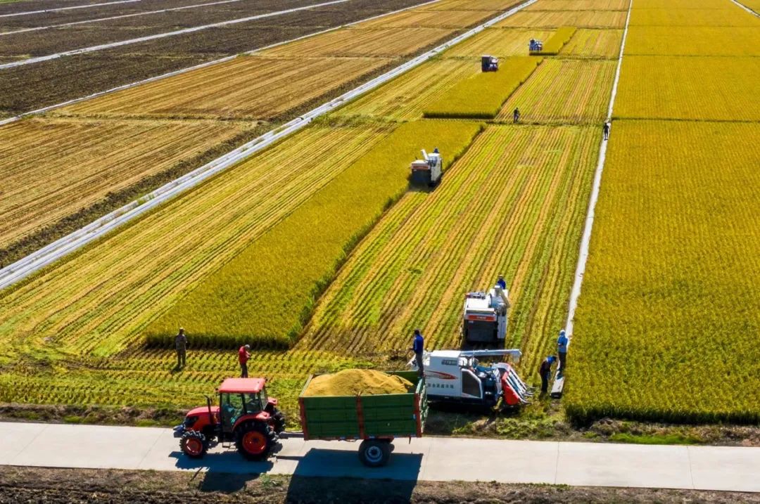 1670987315418311.jpg 微信图片_20221214105903.jpg