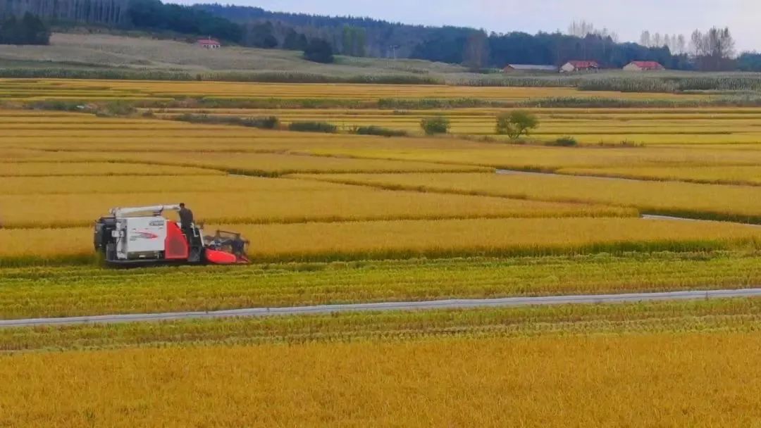 1670987325745525.jpg 微信图片_20221214105910.jpg