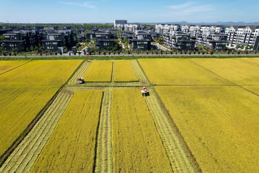 1670987367107493.jpg 微信图片_20221214110010.jpg