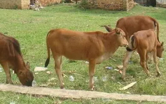 1691999055879139.png 微信截图_20230814154247.png