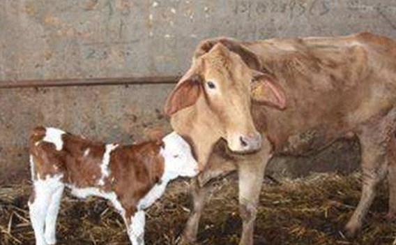 1691999077106030.png 微信截图_20230814154302.png