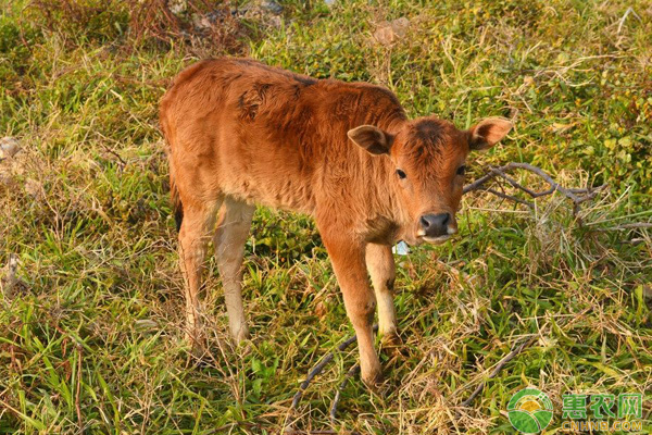 1703832684621335.jpg ce2783023307461e8eebb3a83782c3ed.jpg